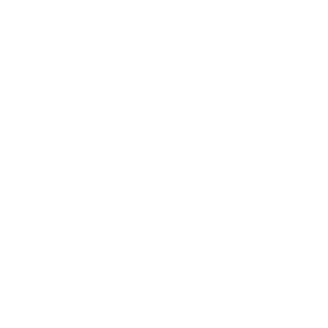 Project Solutions