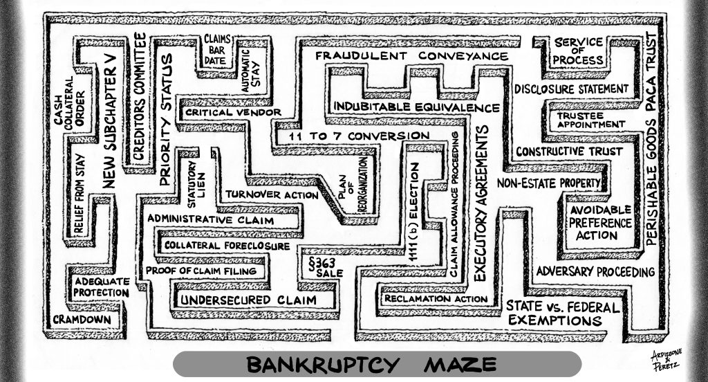 Bankruptcy maze